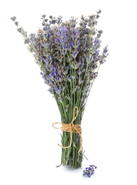 Beautiful blooming lavender flowers on white background