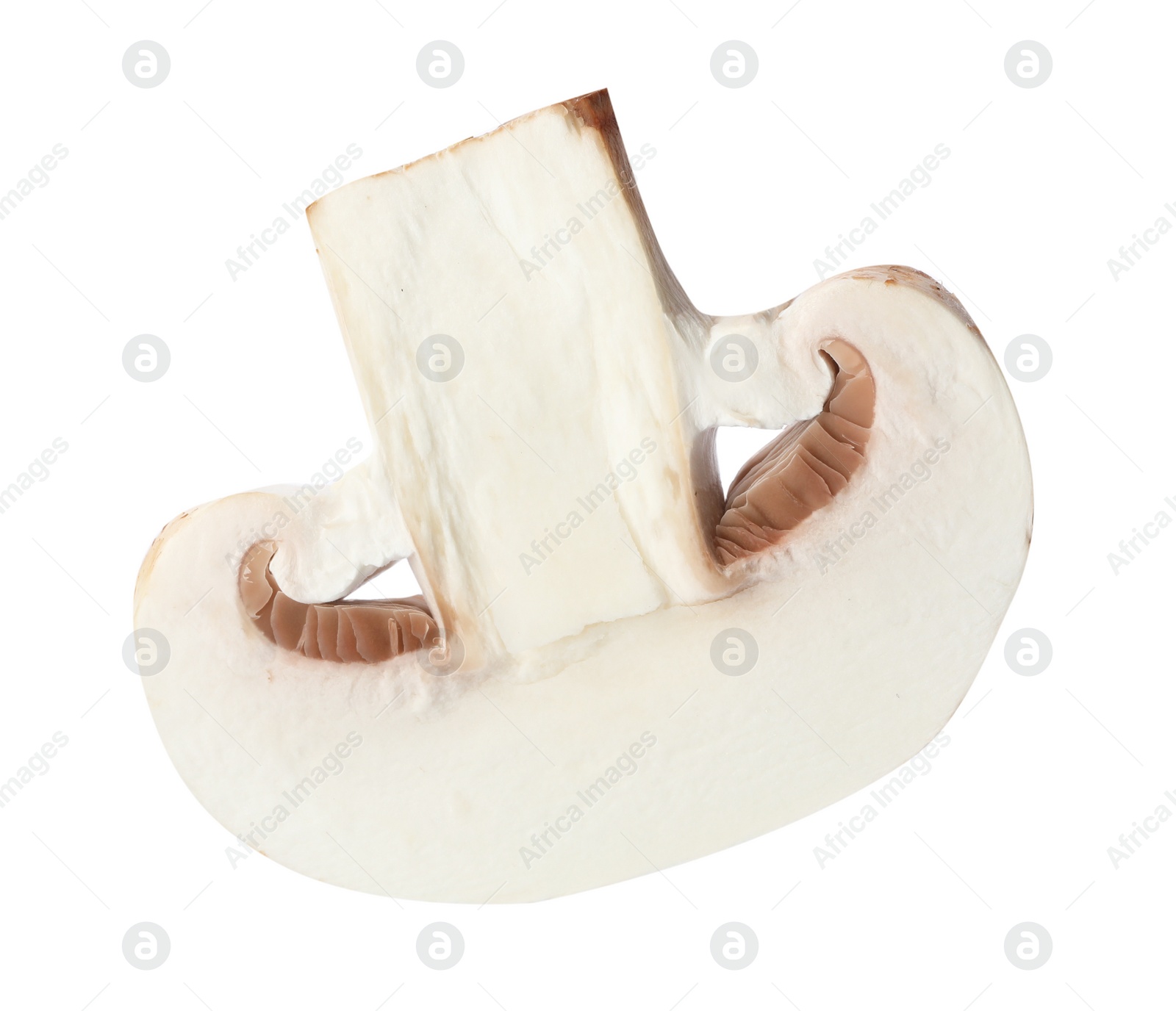 Photo of Piece of fresh mushroom on white background