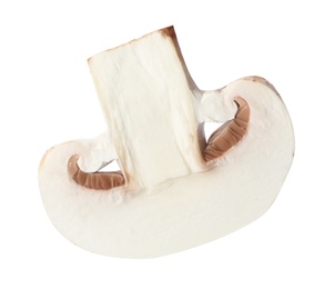 Piece of fresh mushroom on white background