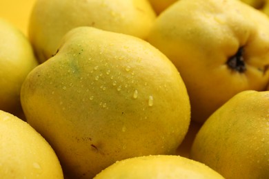 Delicious ripe quinces with water drops as background, closeup