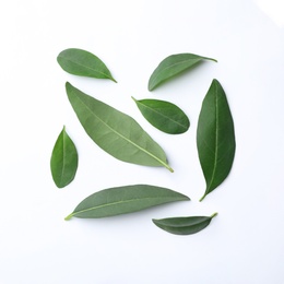 Photo of Fresh green citrus leaves on white background, top view