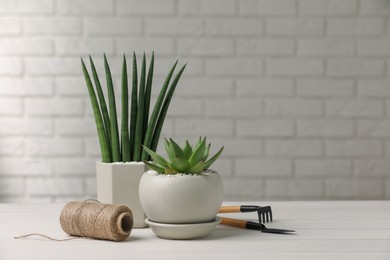 Photo of Beautiful potted succulent plants and tools on white wooden table. Space for text