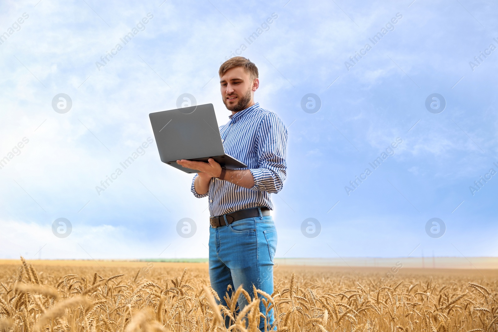 Photo of Young agronomist with laptop in grain field. Cereal farming