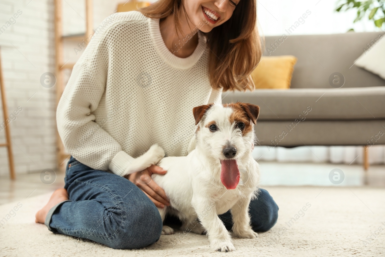 Photo of Young woman with her Jack Russell Terrier at home. Lovely pet