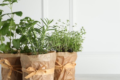 Photo of Different aromatic potted herbs against white wall, closeup. Space for text