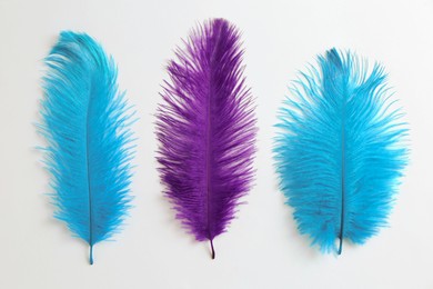 Photo of Beautiful purple and light blue feathers on white background