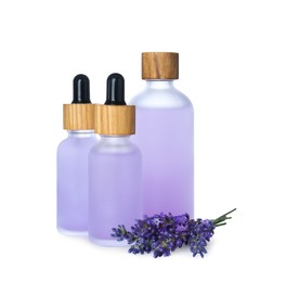 Photo of Bottles of lavender essential oil and flowers on white background