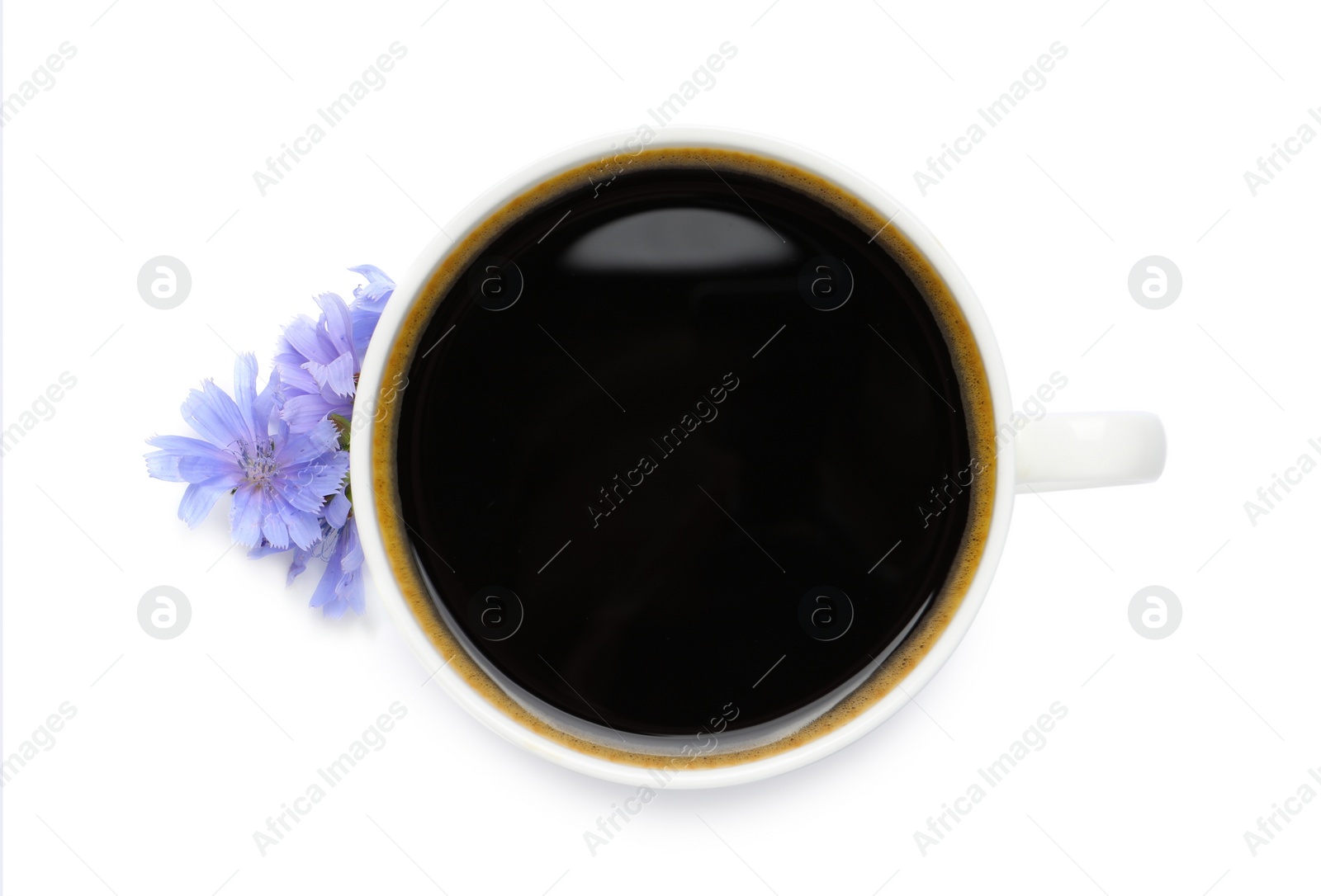 Photo of Cup of delicious chicory drink and flowers on white background, top view