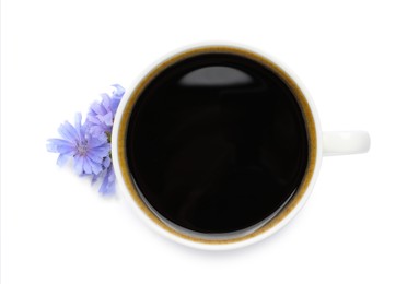 Cup of delicious chicory drink and flowers on white background, top view