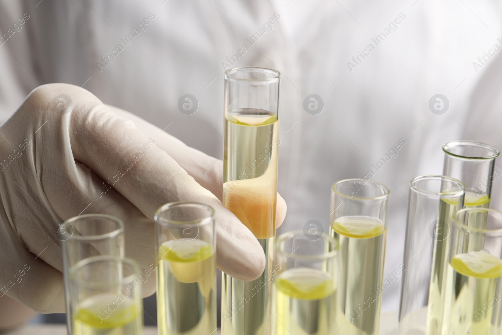 Photo of Doctor taking test tube with urine sample for analysis, closeup