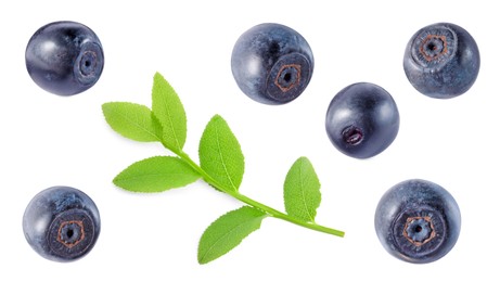 Image of Set with fresh ripe bilberries and green leaves isolated on white