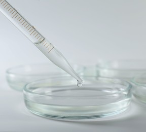 Photo of Dripping liquid from pipette into petri dish on light background, closeup