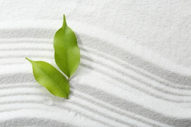 Zen rock garden. Wave pattern and green leaves on white sand, top view