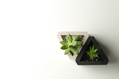Photo of Succulent plants on white table, flat lay. Space for text