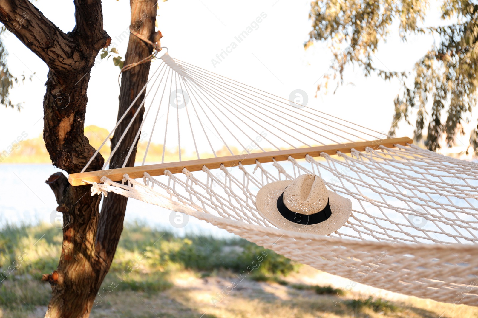 Photo of Hat in comfortable hammock on beach. Summer vacation