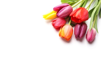 Beautiful spring tulip flowers on white background, top view