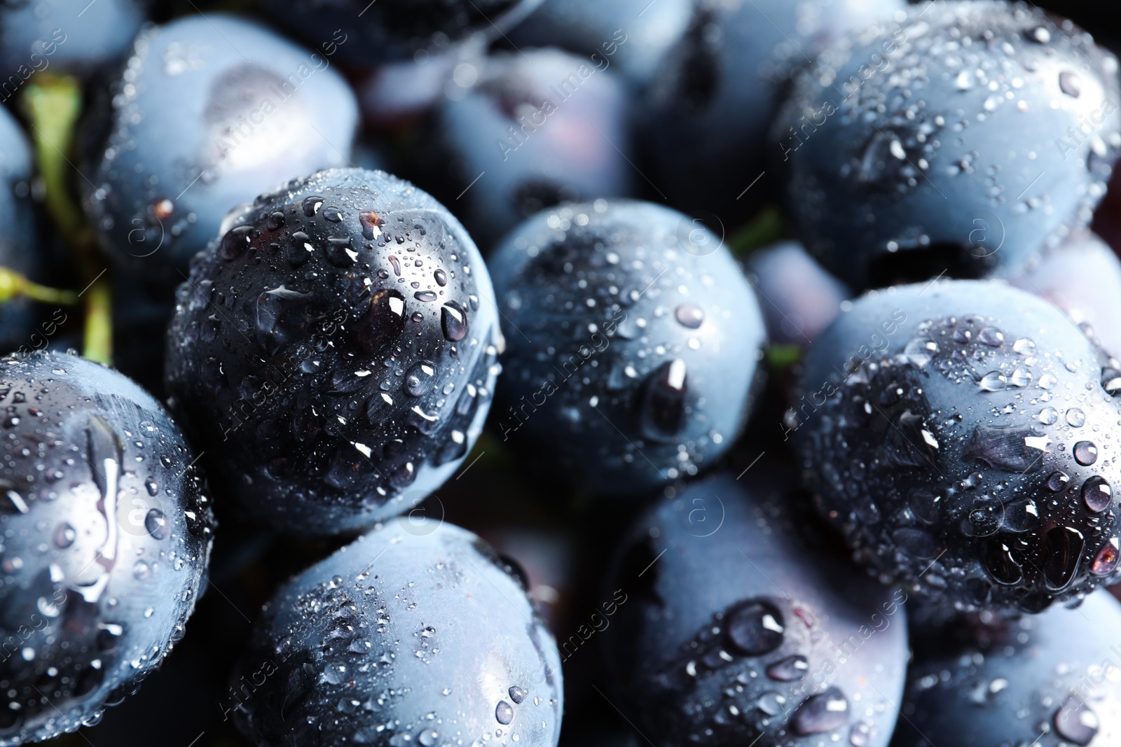 Photo of Bunch of fresh ripe juicy grapes as background. Closeup view