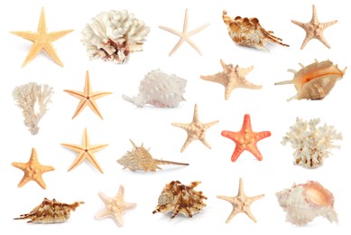 Set with sea stars, shells and corals isolated on white