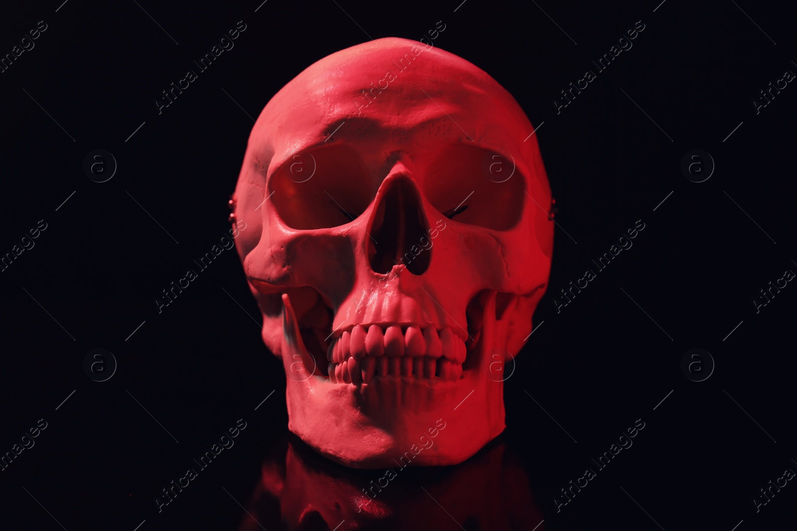 Photo of Red human skull with teeth on black background