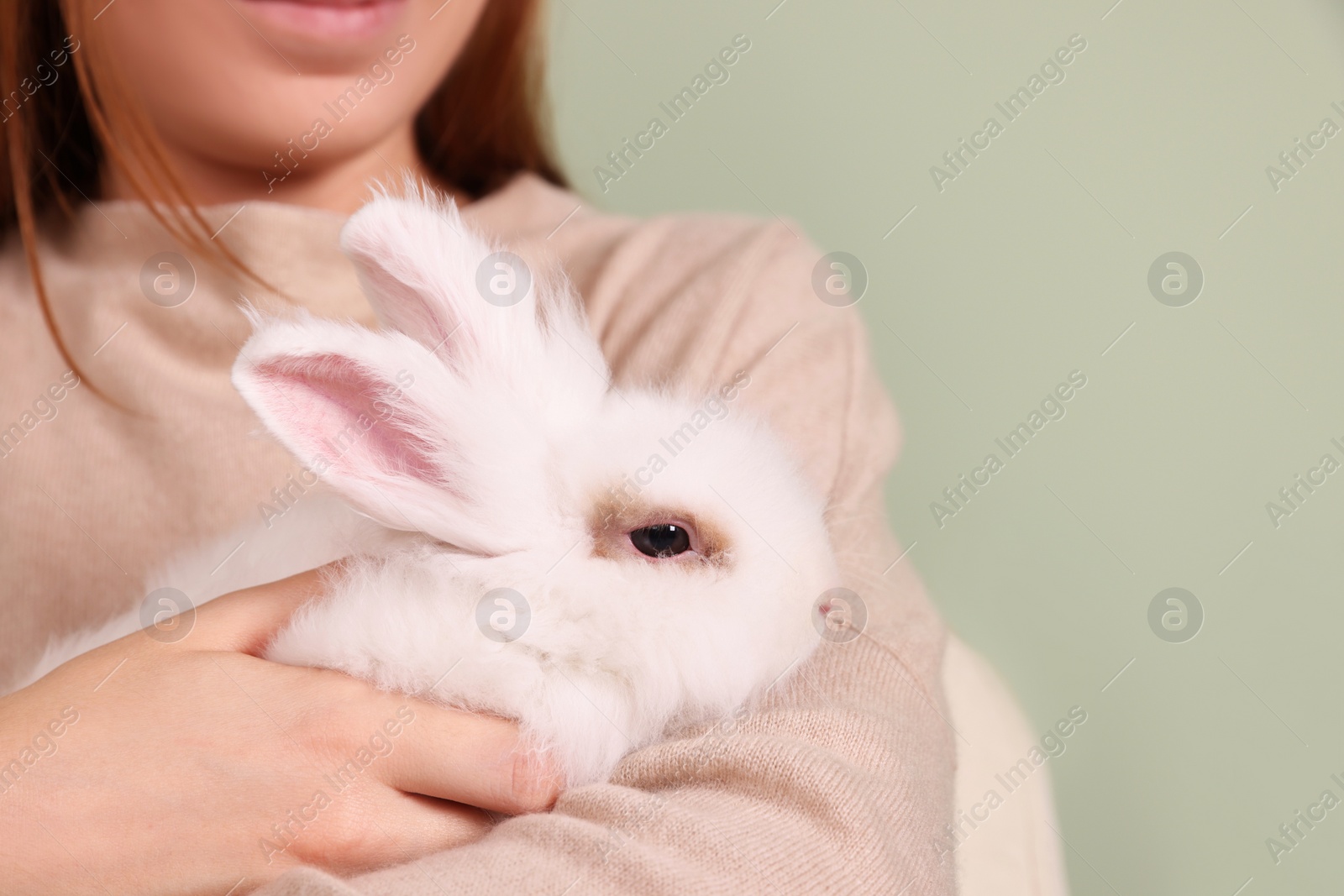 Photo of Woman with fluffy white rabbit, closeup and space for text. Cute pet