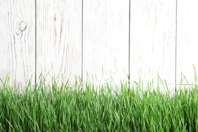 Photo of Fresh green grass near white wooden fence. Space for text