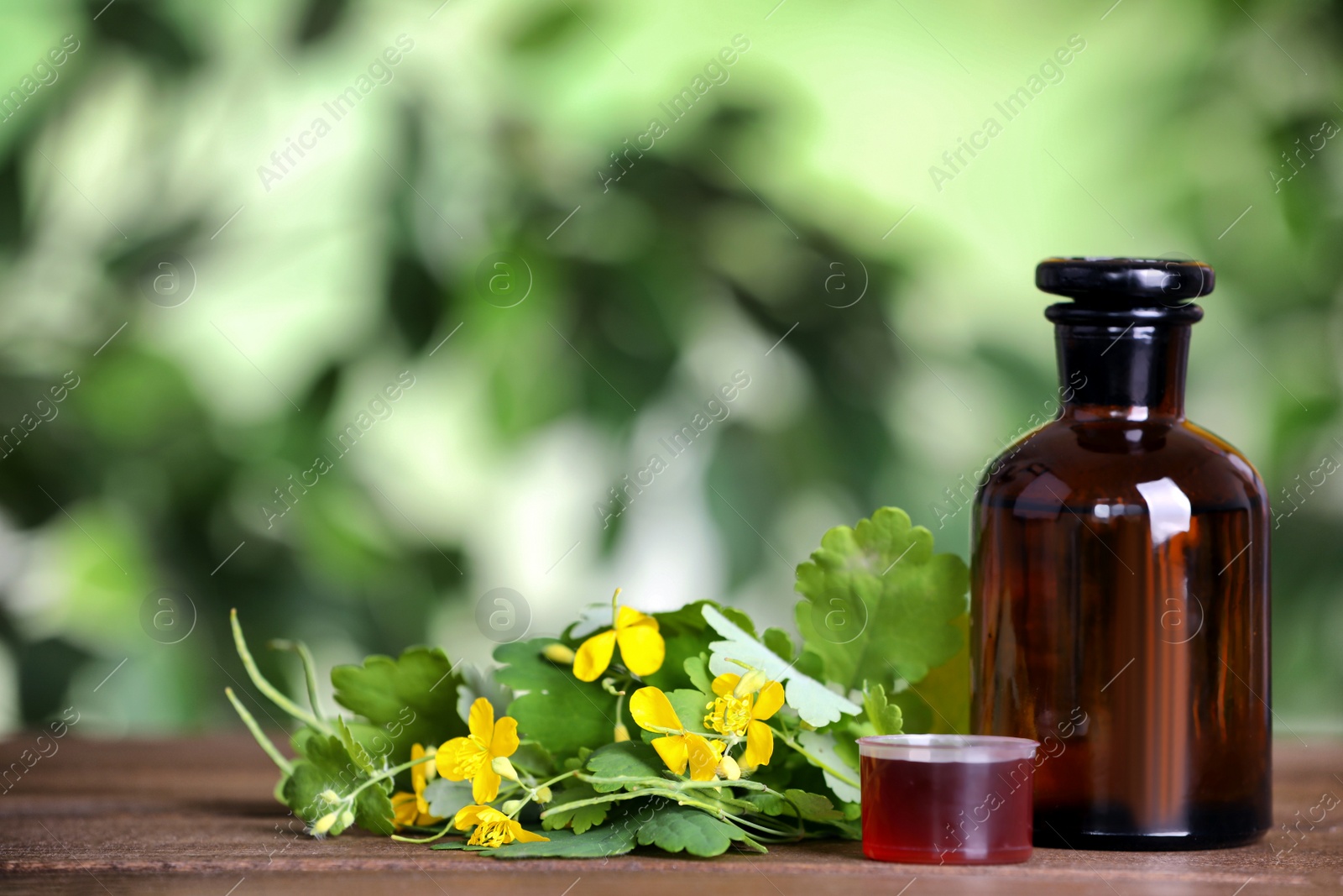 Photo of Bottle of celandine tincture and plant on wooden table outdoors, space for text