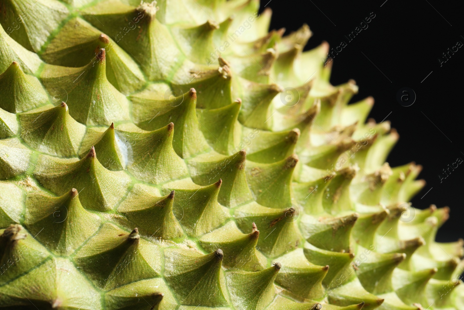 Photo of Closeup view of ripe durian on black background