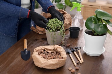 Photo of Woman in gloves transplanting houseplant into new pot at wooden table indoors, closeup