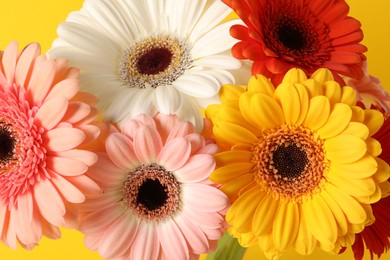 Photo of Bouquet of beautiful colorful gerbera flowers on yellow background, closeup