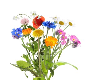 Bouquet of beautiful meadow flowers isolated on white