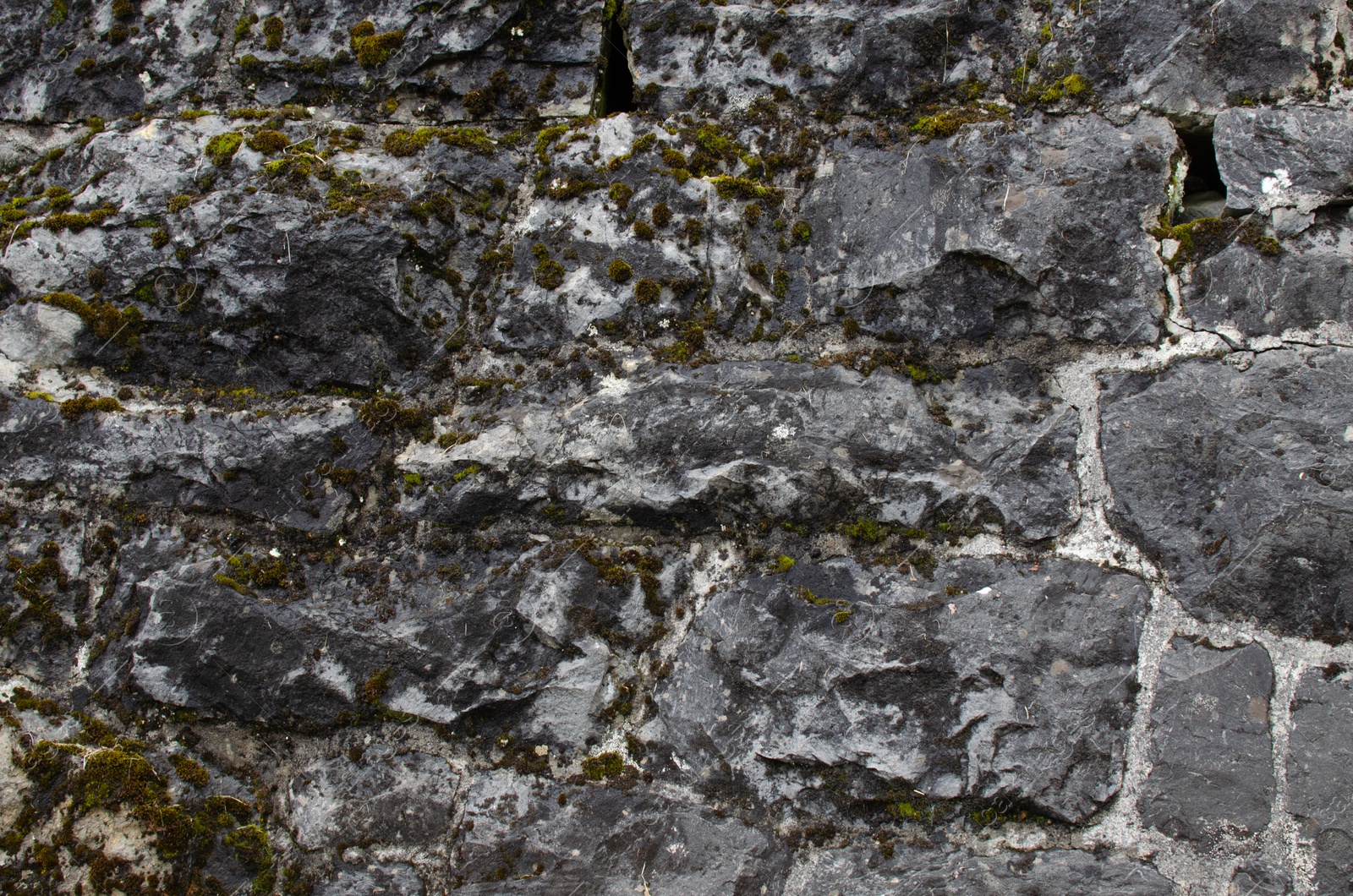 Photo of Stone wall with moss as background, closeup view