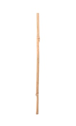 Dry bamboo stick on white background