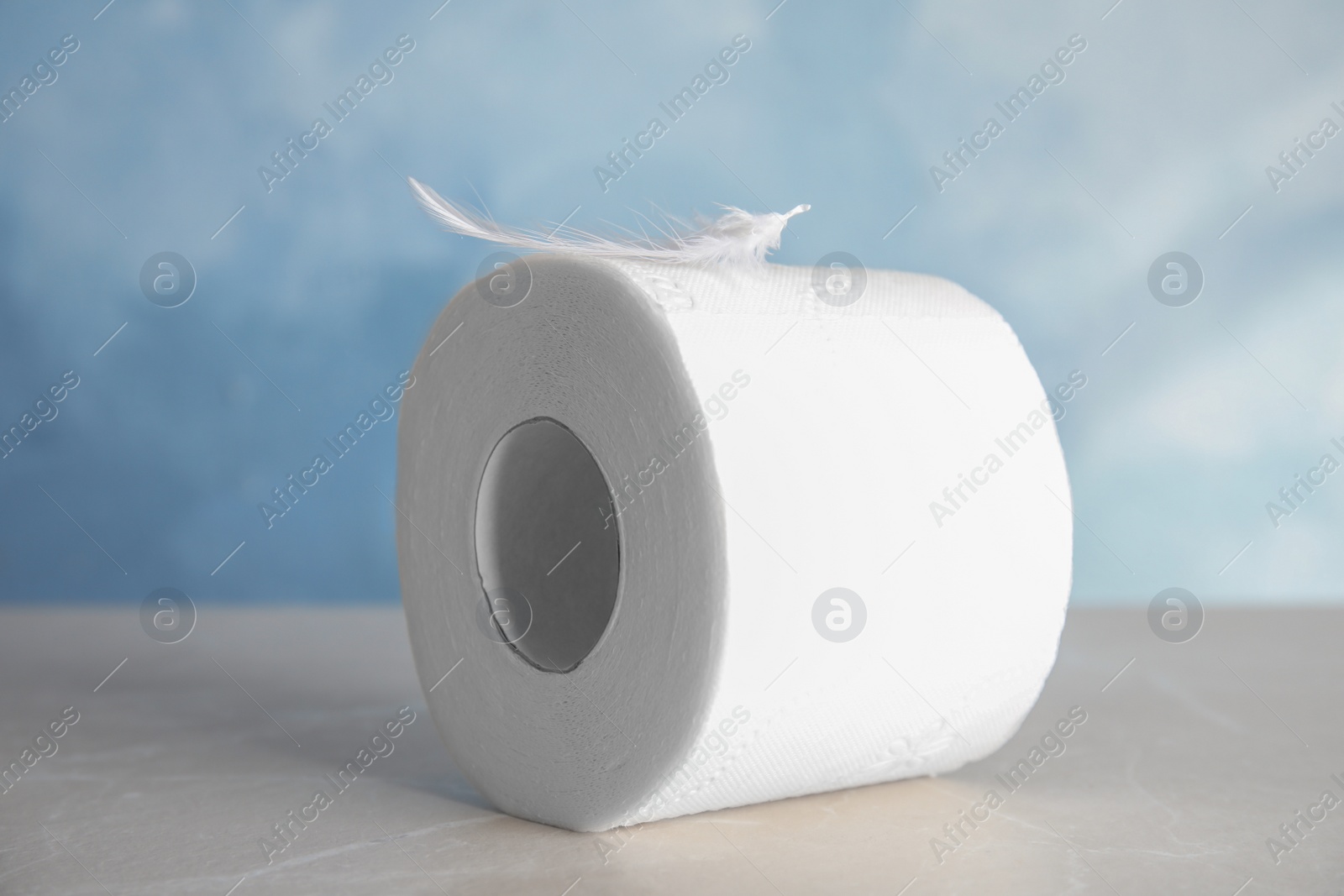 Photo of Toilet paper roll with feather on grey table