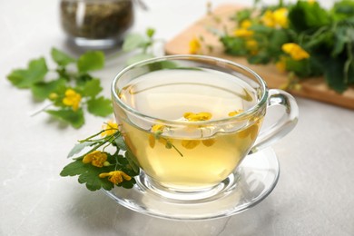 Photo of Glass cup of aromatic celandine tea and flowers on grey table, closeup
