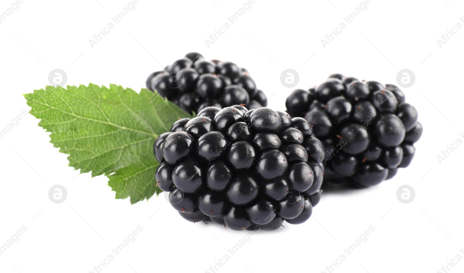 Photo of Tasty ripe blackberries and leaf on white background