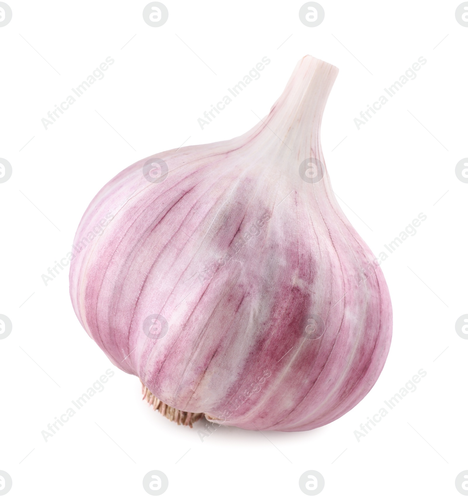 Photo of Fresh raw garlic head isolated on white