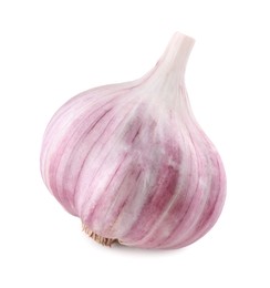 Photo of Fresh raw garlic head isolated on white