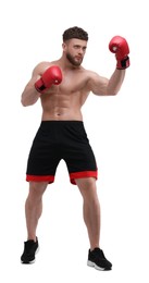 Photo of Man in boxing gloves fighting on white background