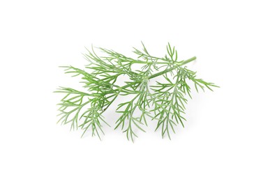 Sprig of fresh dill isolated on white