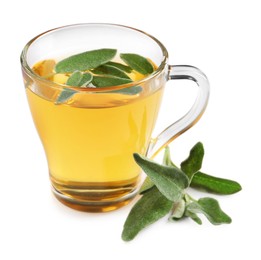 Photo of Cup of aromatic sage tea and fresh leaves on white background