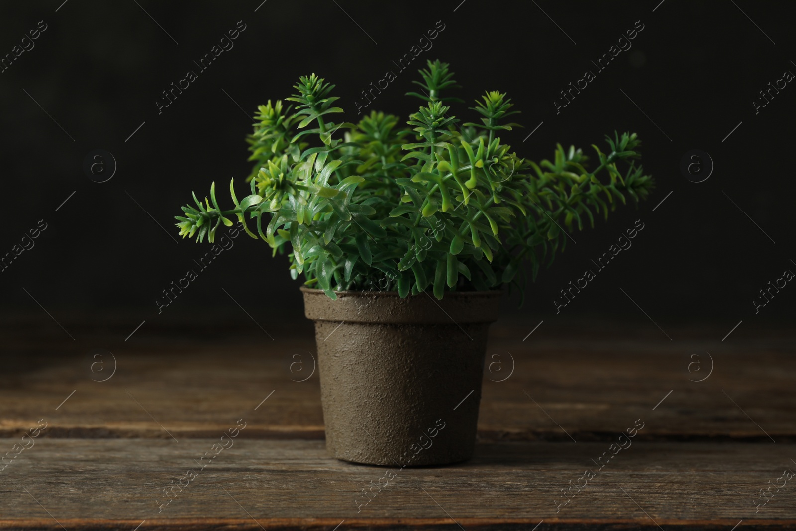 Photo of Artificial plant in flower pot on wooden table