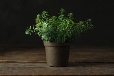 Photo of Artificial plant in flower pot on wooden table