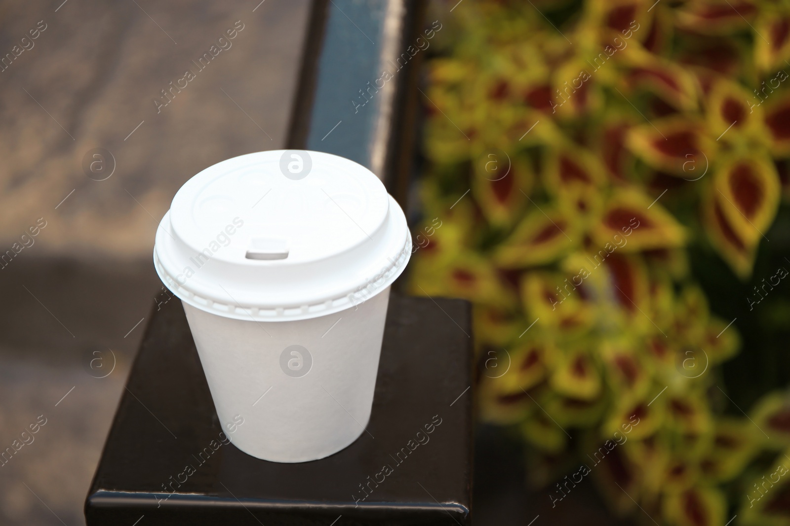 Photo of Cardboard cup of tasty coffee near flower bed outdoors, closeup. Space for text