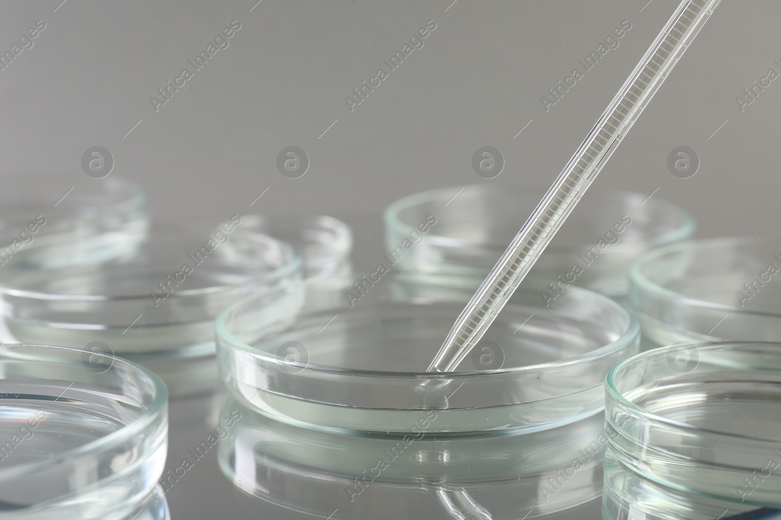 Photo of Many petri dishes and pipette on mirror surface, closeup