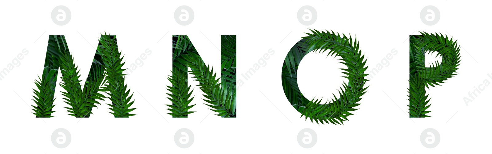 Image of Letters M, N, O, P decorated with floral pattern on white background. Banner design