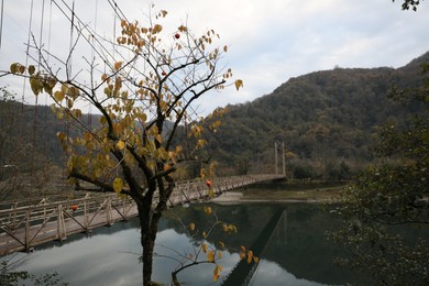 Picturesque view of beautiful bridge over river and trees in mountains