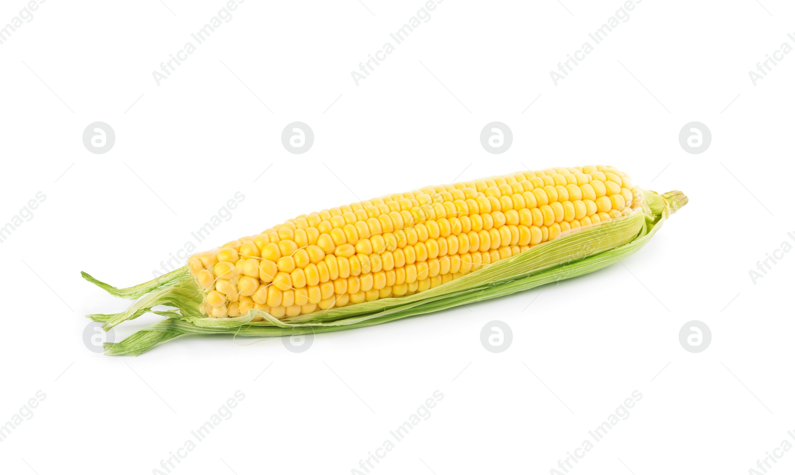 Photo of Ripe raw corn cob with husk isolated on white