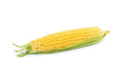 Photo of Ripe raw corn cob with husk isolated on white