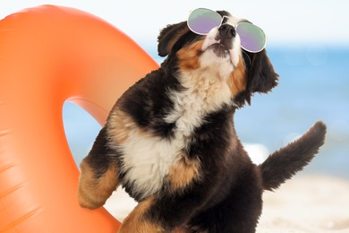 Image of Cute funny dog with sunglasses in inflatable ring at pet friendly beach