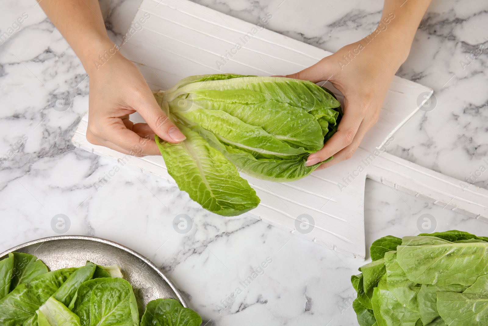 Photo of Woman with fresh ripe cos lettuce on marble table, top view